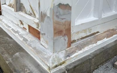 Repair care review by Adam Featherstone 