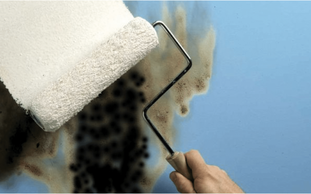how to paint over interior fire damage with Zinsser and block odour