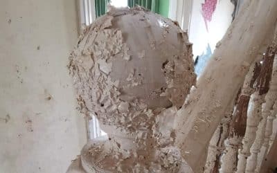Enviromose Paint Stripper Review