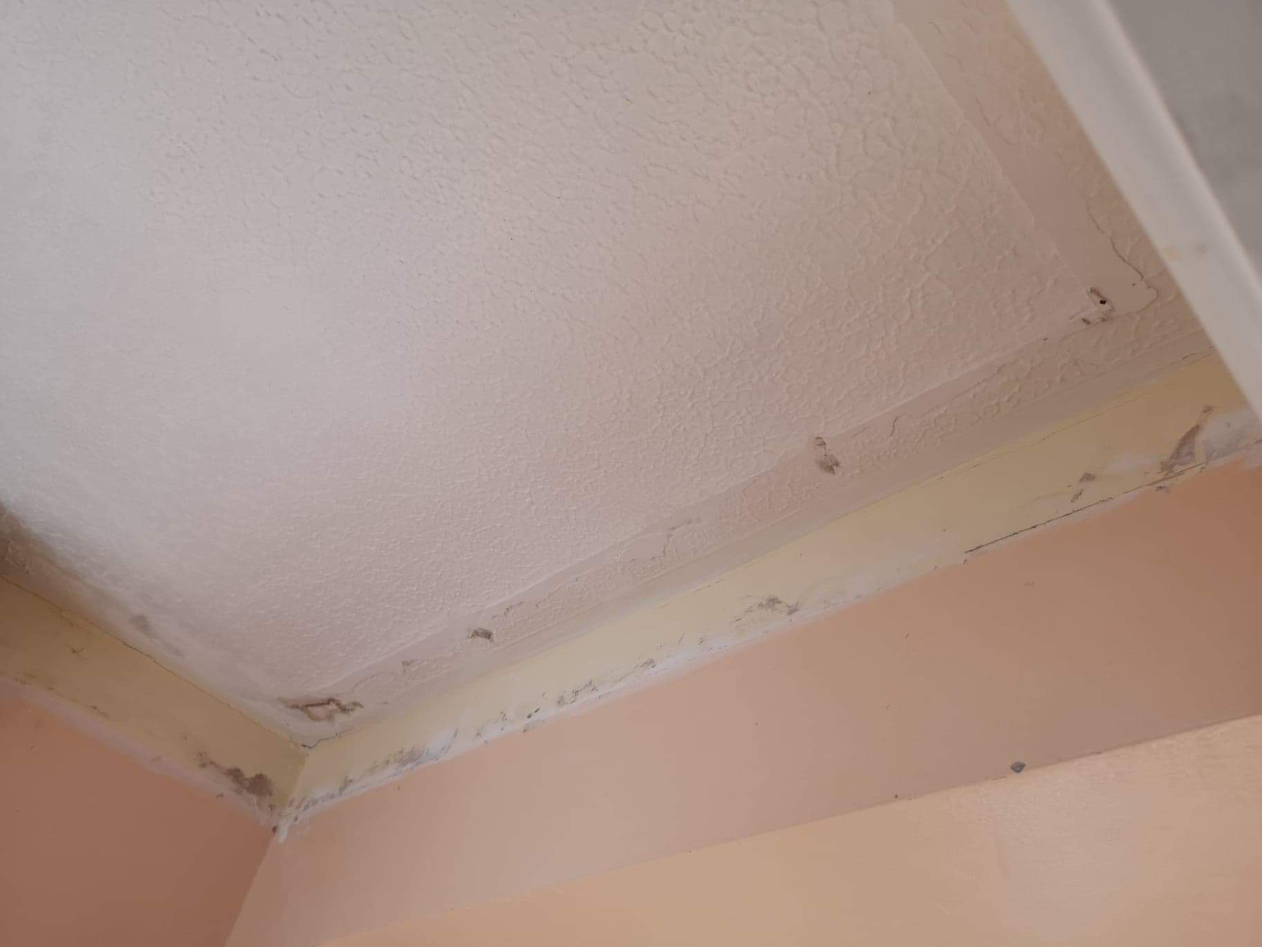 Easifill Ready Mixed Filler from Gyproc Decorator
