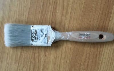 Review of ProDec Ice Fusion Brush