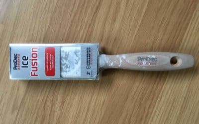 ProDec Ice Fusion Paint Brush Review