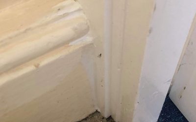 Red Devil Onetime Superior Decorator’s Caulk