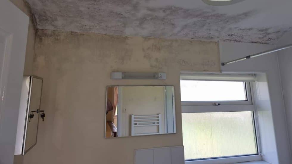 How to Get Rid of Mould on Walls Permanently Decorator's forum UK