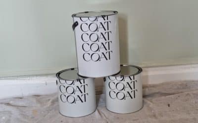 COAT Paint Review and Guide