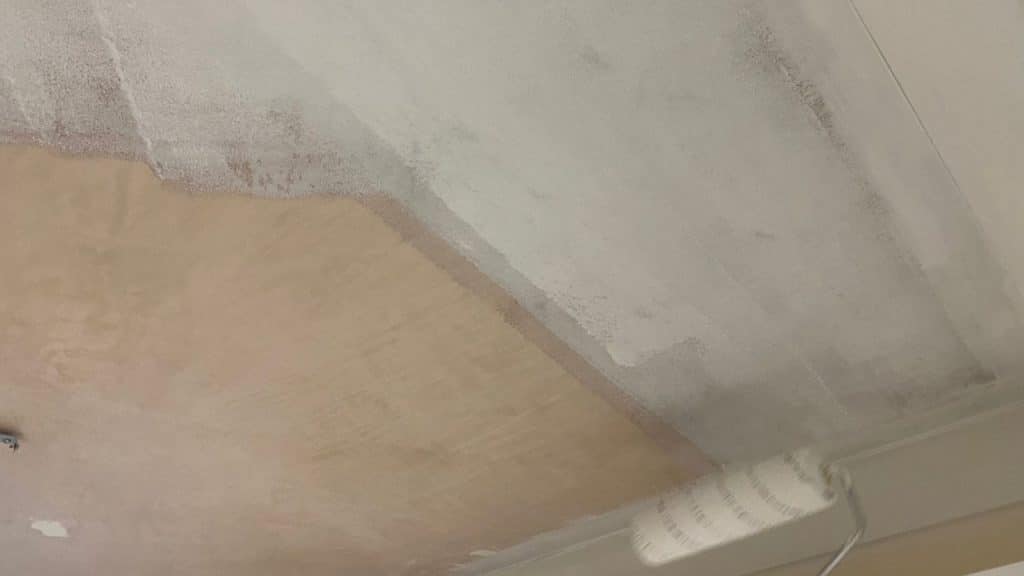 painting the first coat on bare plaster