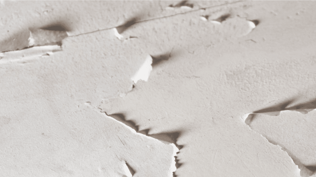 Five Tips For Preventing Drywall Mould