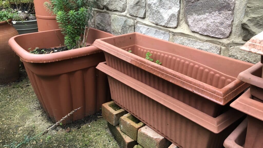 plastic flowerpots to paint