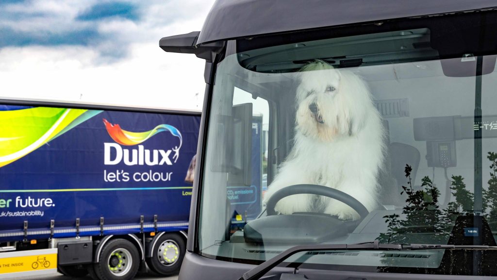 Dulux dog 'driving' lorry