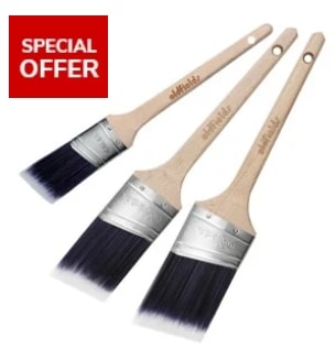 offer on paint brushes